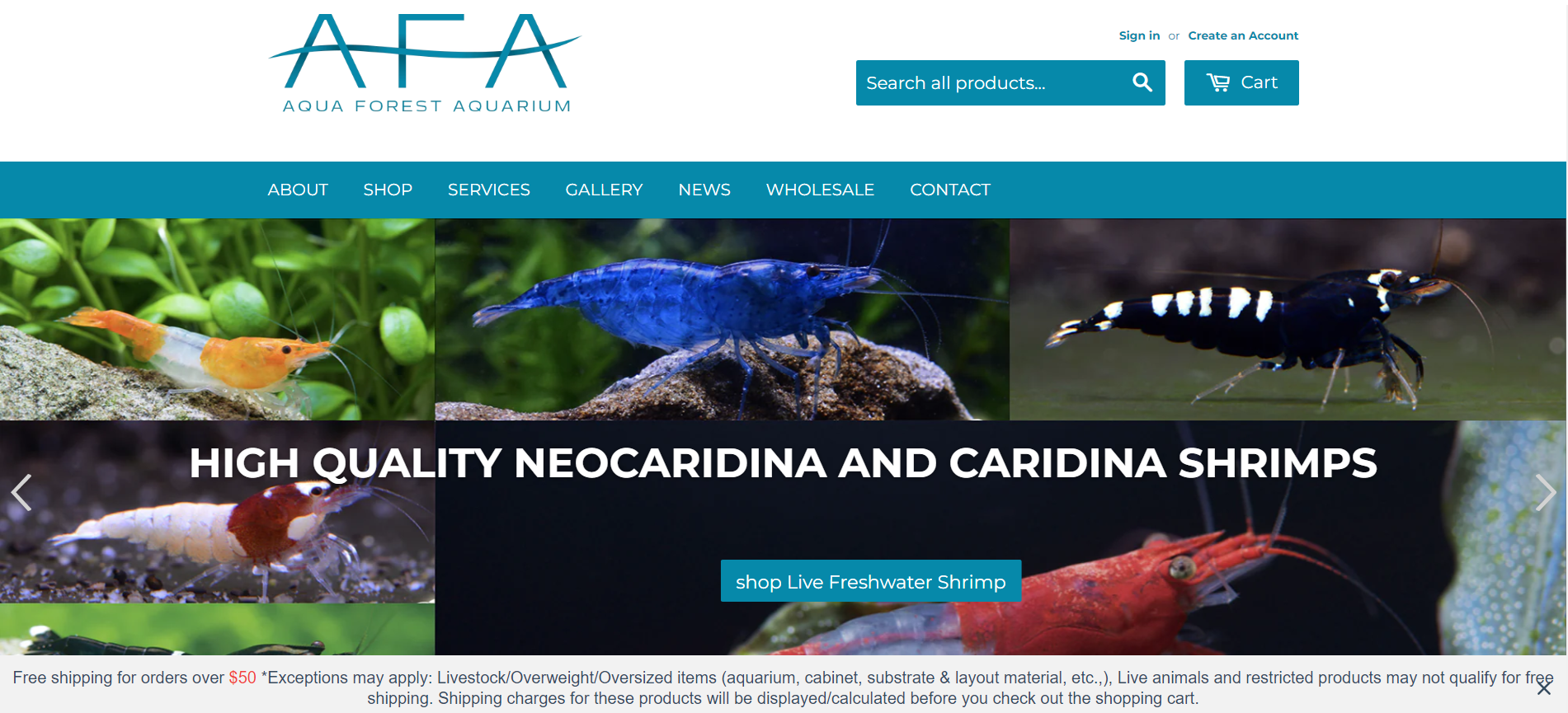 Aqua forest aquarium
