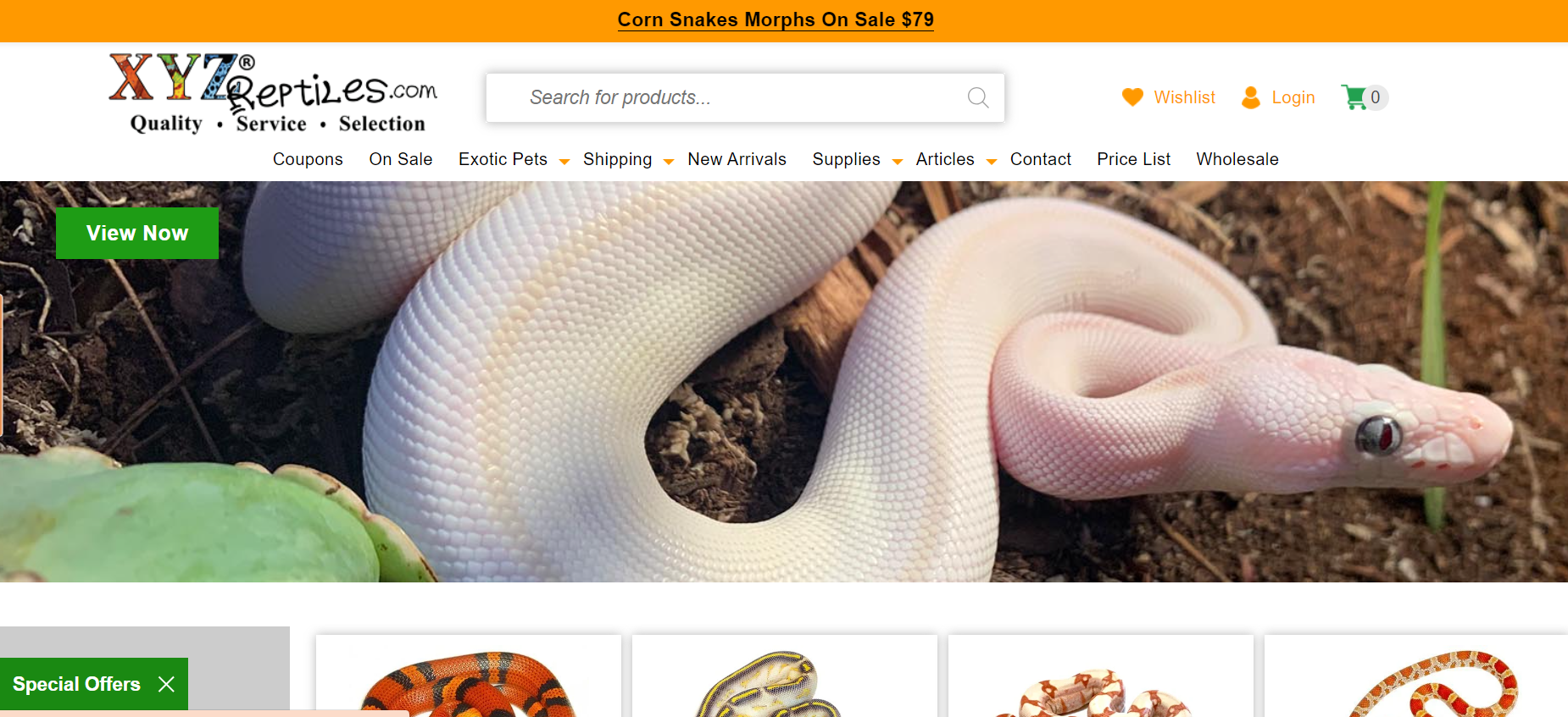 9 Essential Steps to Build a Thriving Exotic Pet Ecommerce Website